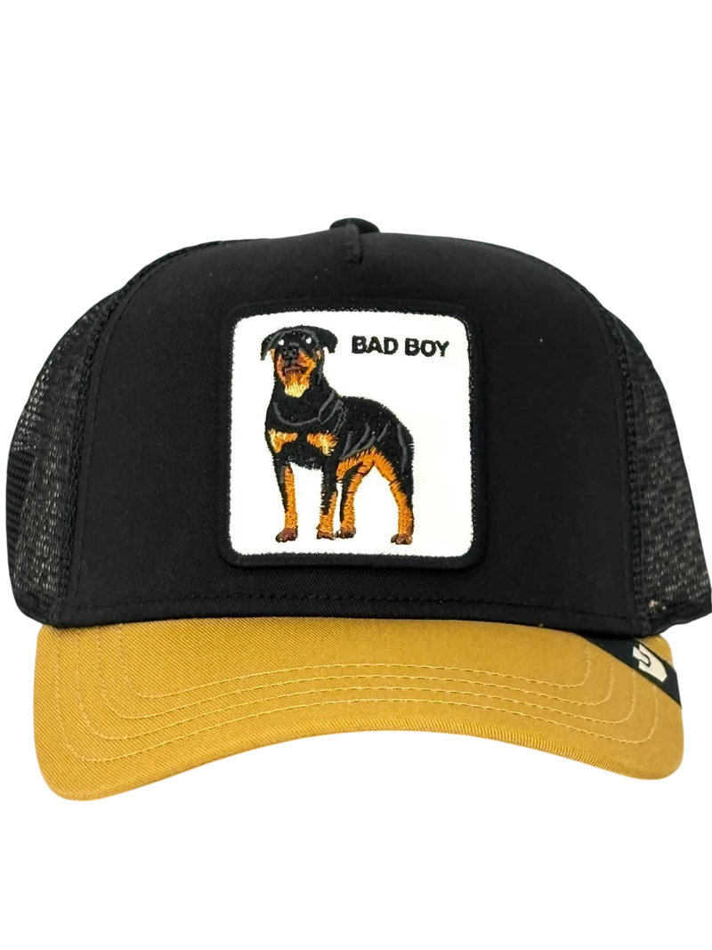 CAPPELLINO BAD BOY