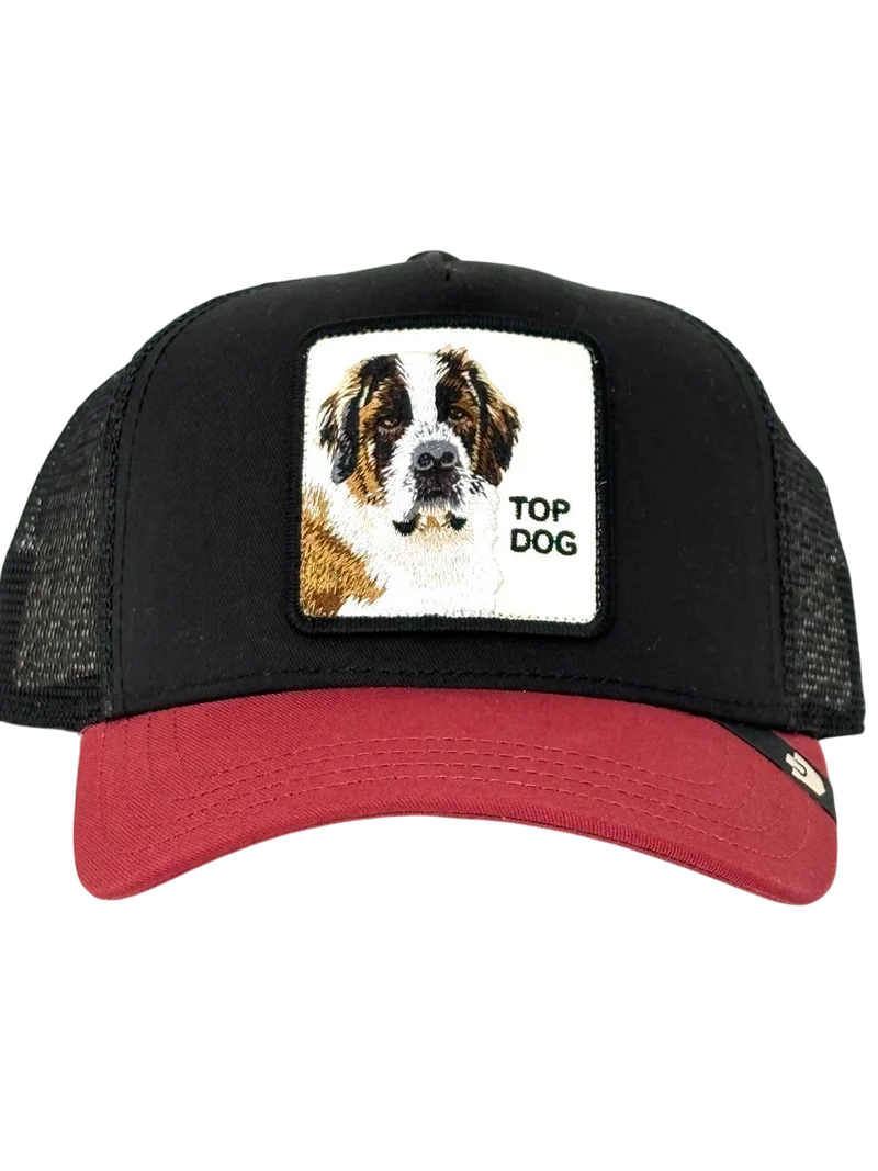 CAPPELLINO TOP DOG
