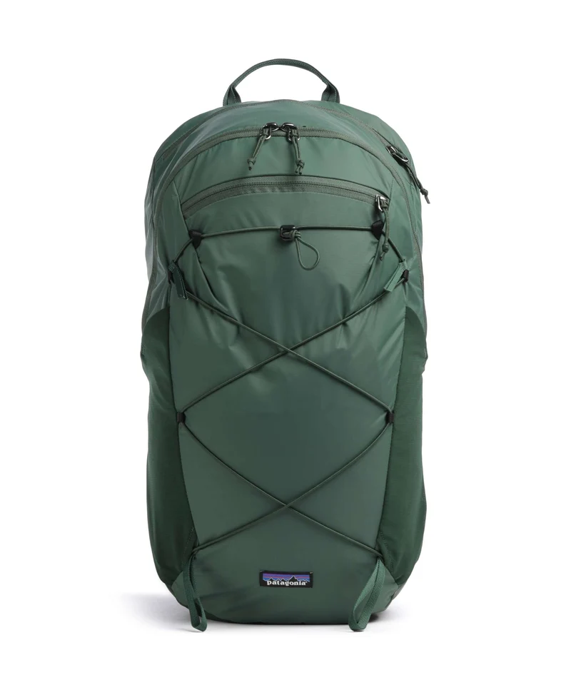 Patagonia Terravia 22 L Zaino canopy green