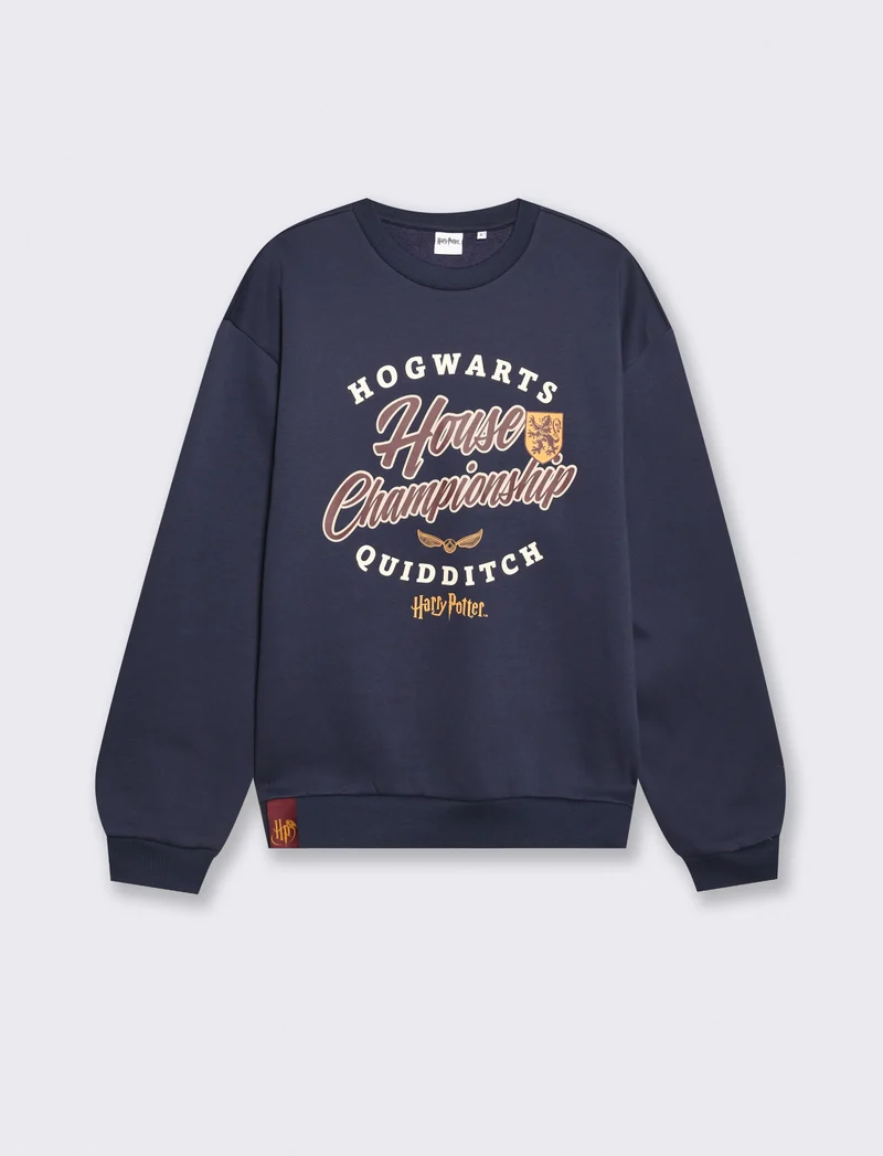 Felpa Harry Potter girocollo uomo boxy fit - Blu