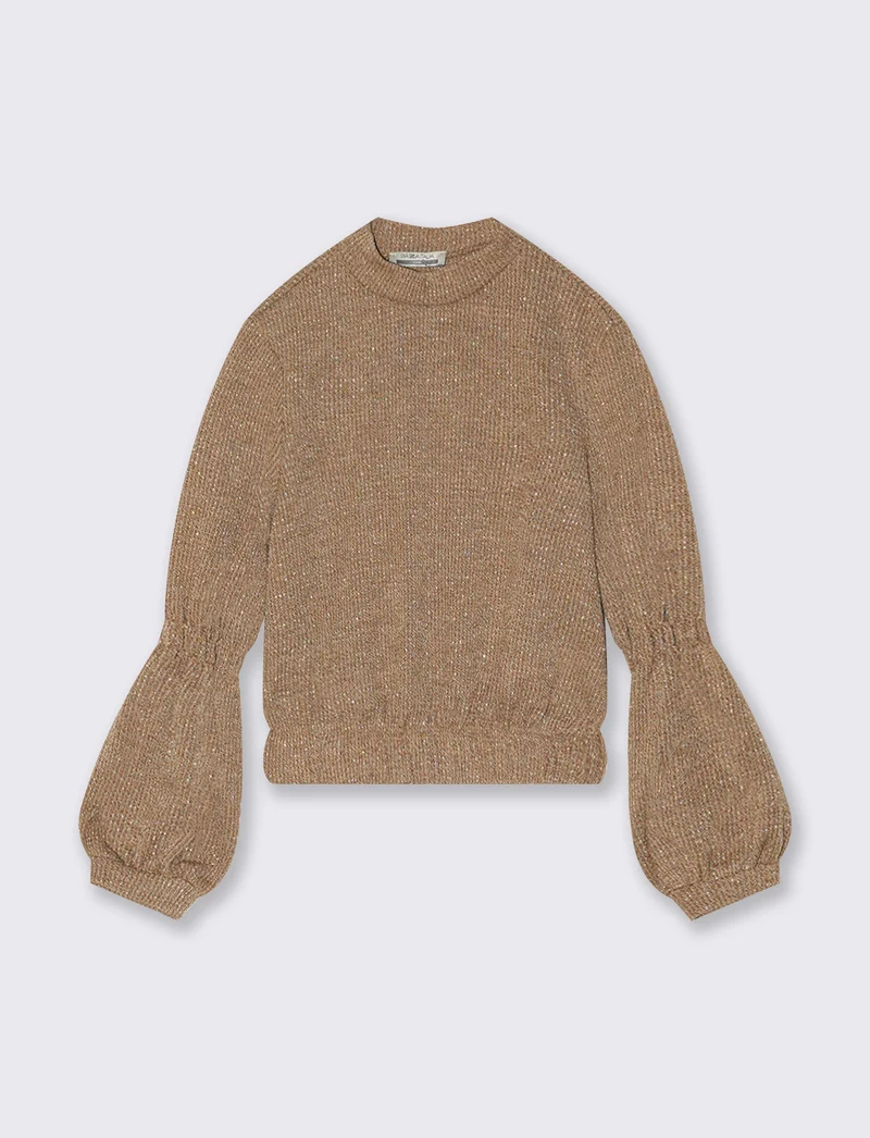 Maglia a maniche - Marrone